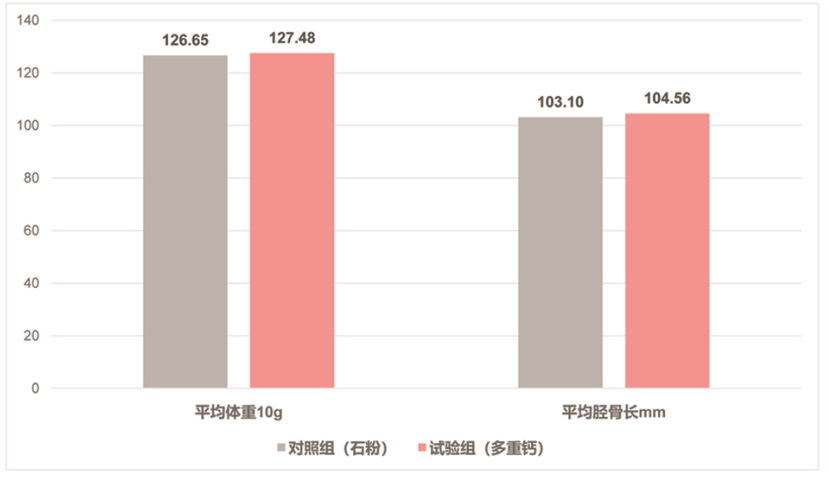 红桃国际“多重钙”利用在蛋鸡上 红桃国际“多重钙”利用在蛋鸡上