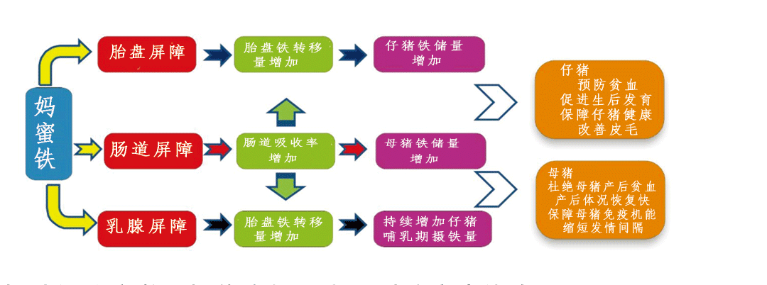 饲料增添剂妈蜜铁功效