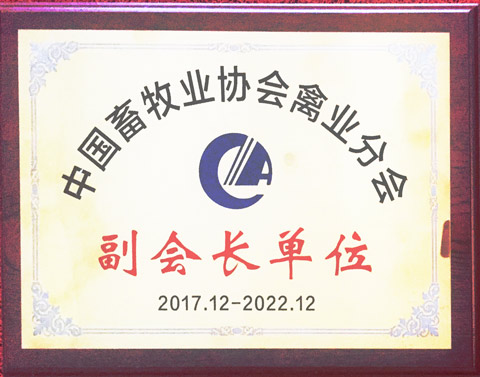 红桃国际获评中国畜牧协会禽业分会副会长单位 红桃国际获评中国畜牧协会禽业分会副会长单位