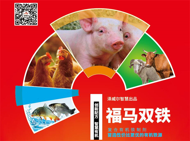 饲料红桃国际
福马双铁广告单页 饲料红桃国际
福马双铁广告单页