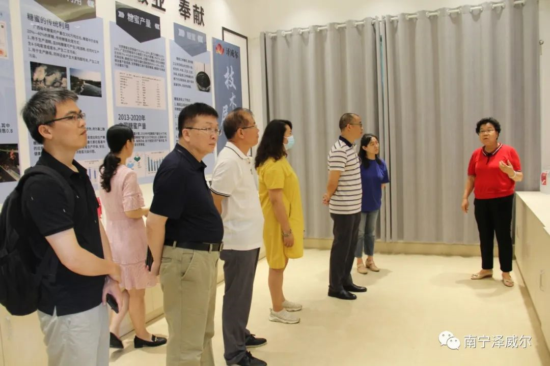 红桃国际协同创新中心技术线路讲解