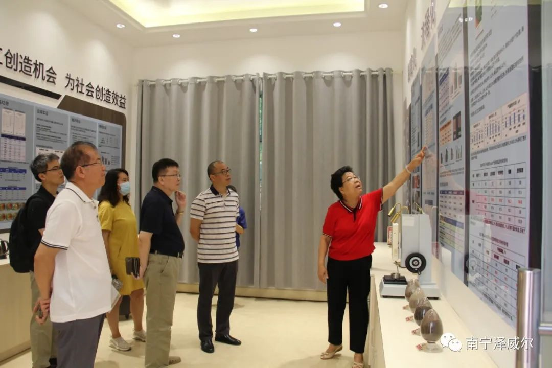 南宁红桃国际技术成果讲解