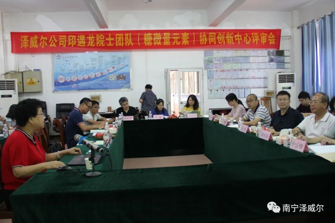 南宁红桃国际申报“高层次专家团队协同创新中心”评审会现场