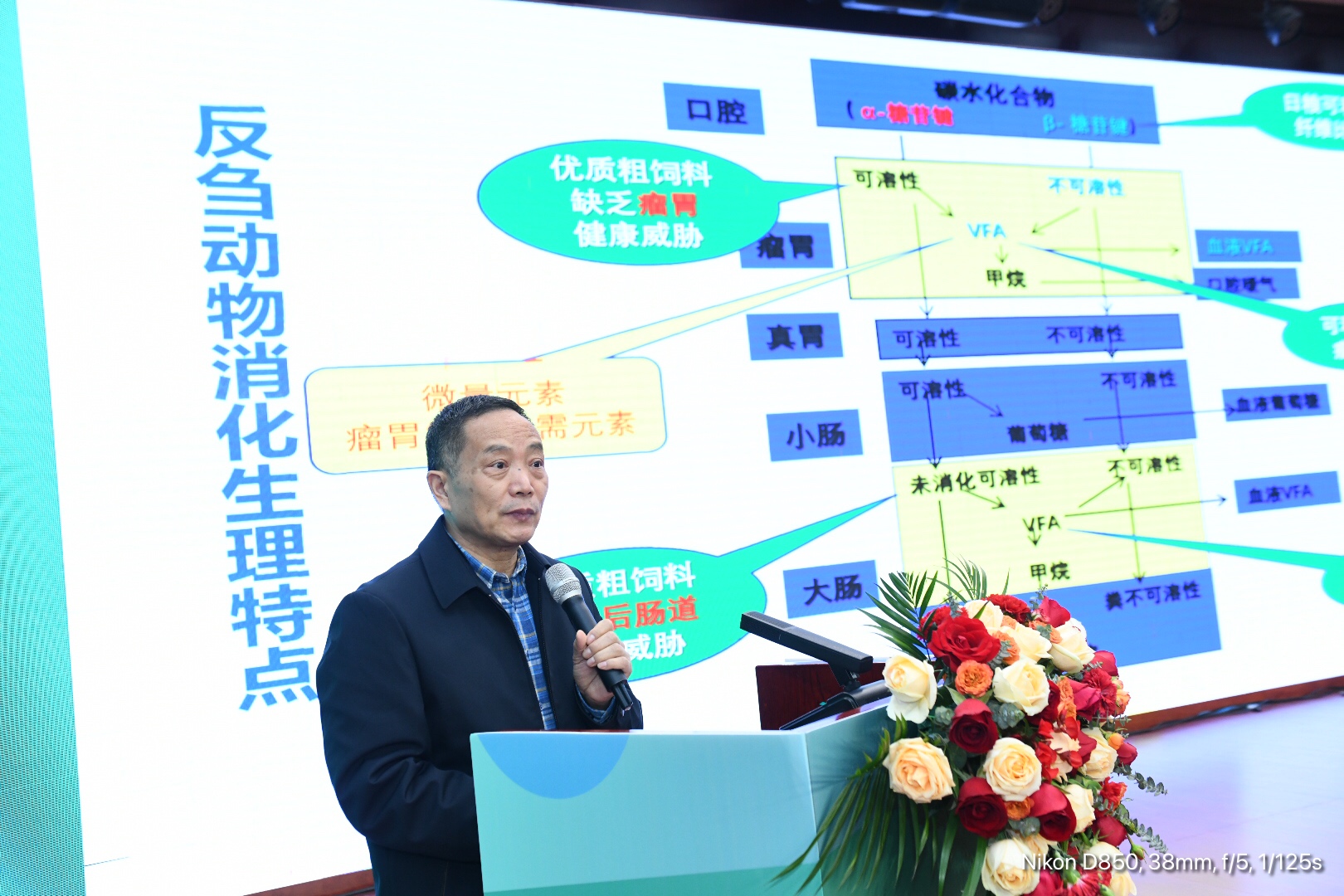 杨在宾教授 杨在宾教授