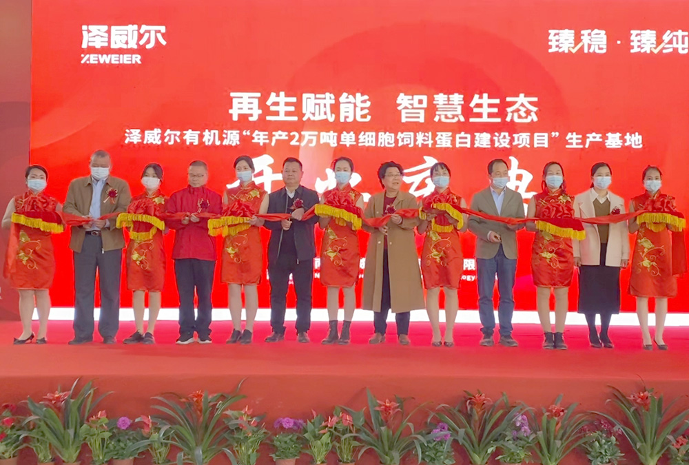 年产2万吨饲料蛋白基地落成开业 年产2万吨饲料蛋白基地落成开业